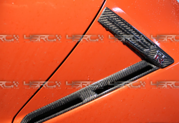 Preview: Carbon Fibre Front Fender Logo Holders Emblems CBA