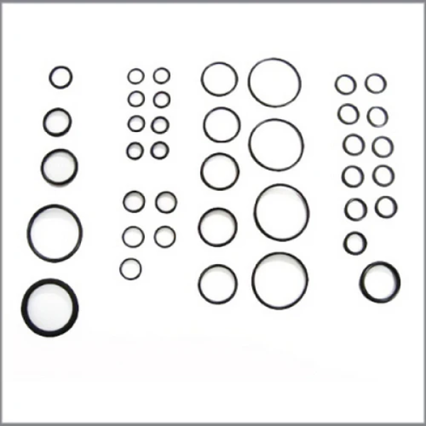 Dodson GR6 REPLACEMENT O-RING KIT